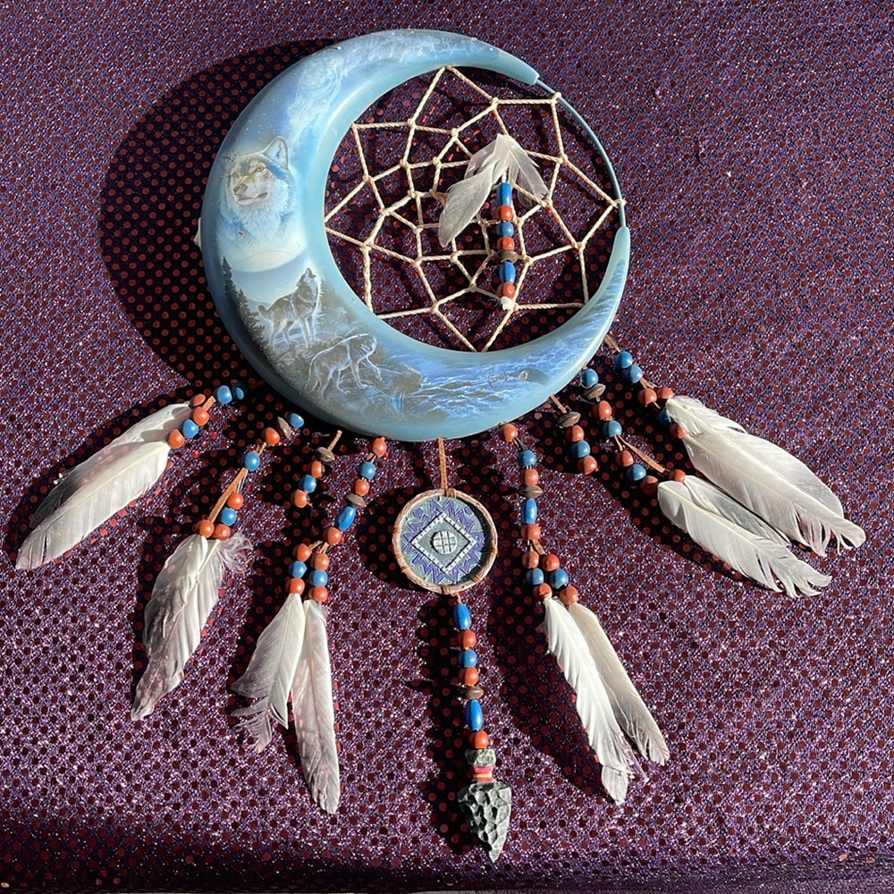 Bradford Exchange Starlit sentinel Fiber Optic Dreamcatcher